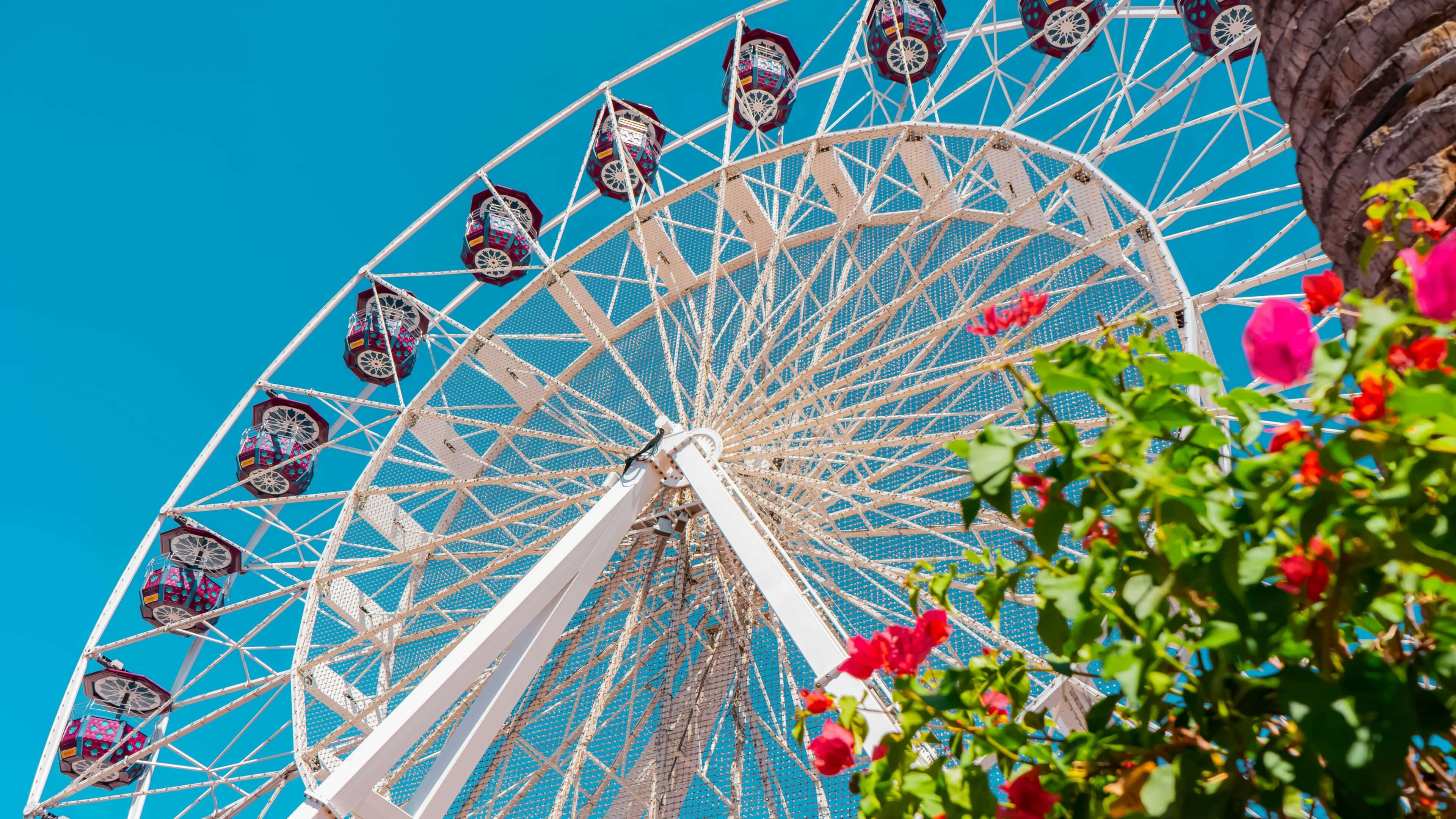 Irvine CA Tech B2B Lead Generation, UCI Health YMYL, and Orange County Research SEO Experts